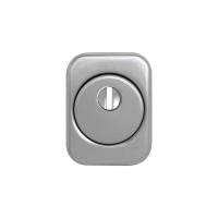 Броненакладка  D3 L-2 (матовый хром)